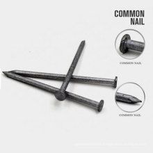 Hot Selling Common Iron Nail China Common Nails